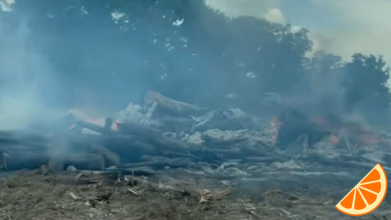burn-pile-citrus-trees-clermont-fl