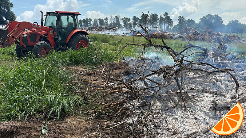 burn-pile-next-to-tractor